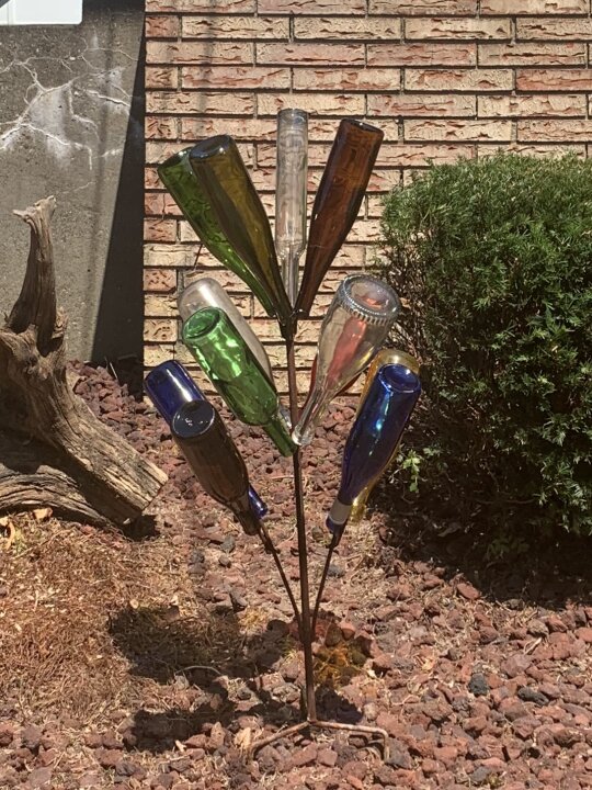 What Tree Are You? (Quiz)