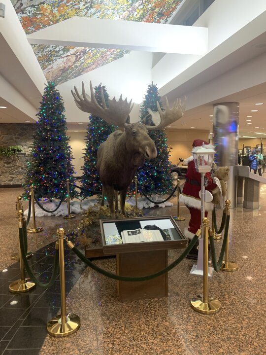 Greetings and Merry Christmas from Anchorage! Christmas