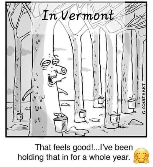 😋 How do you use or consume maple syrup? Fungirlmmm SWUser Can’t