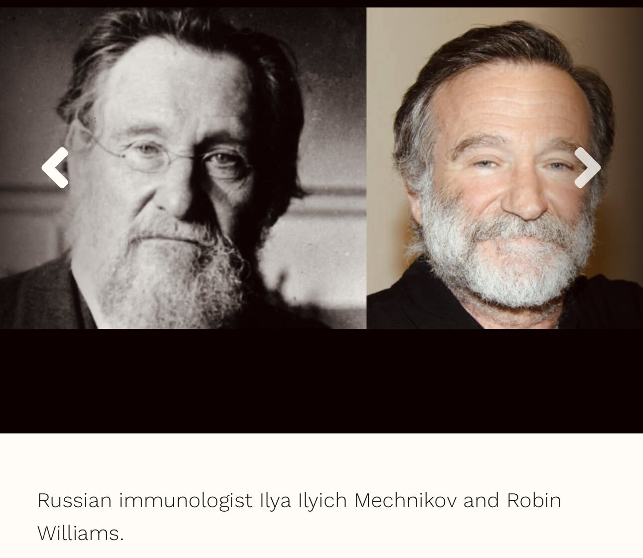 Look alike!😜 And the last one Looks like Willem Dafoe, no? Pictures & Pics