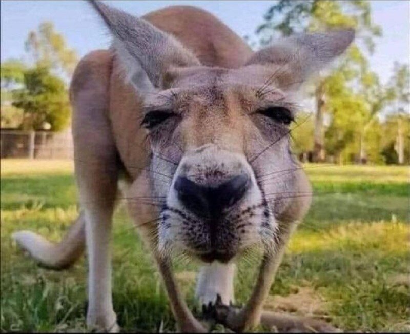 Do you wear glasses and do you love them or hate them? My eyes are okay