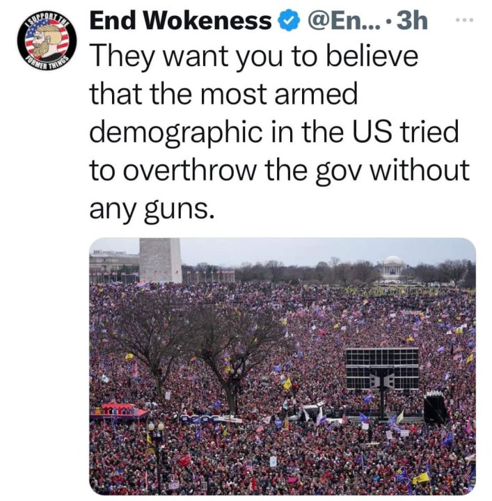 How Many Times Have You Heard the Word "Insurrection" Over The Last 3