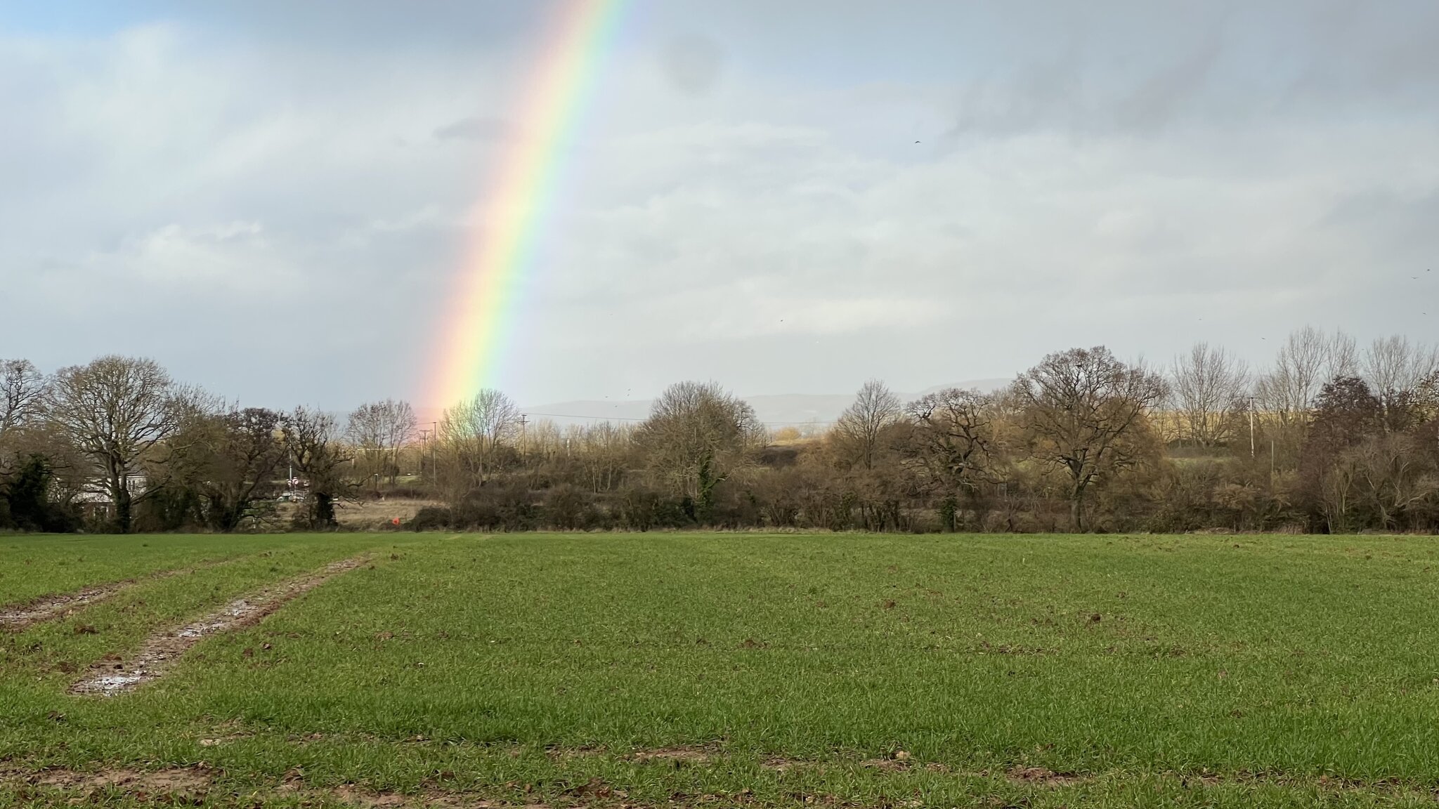 My neighbourhood . Devon , Somerset border England , early January