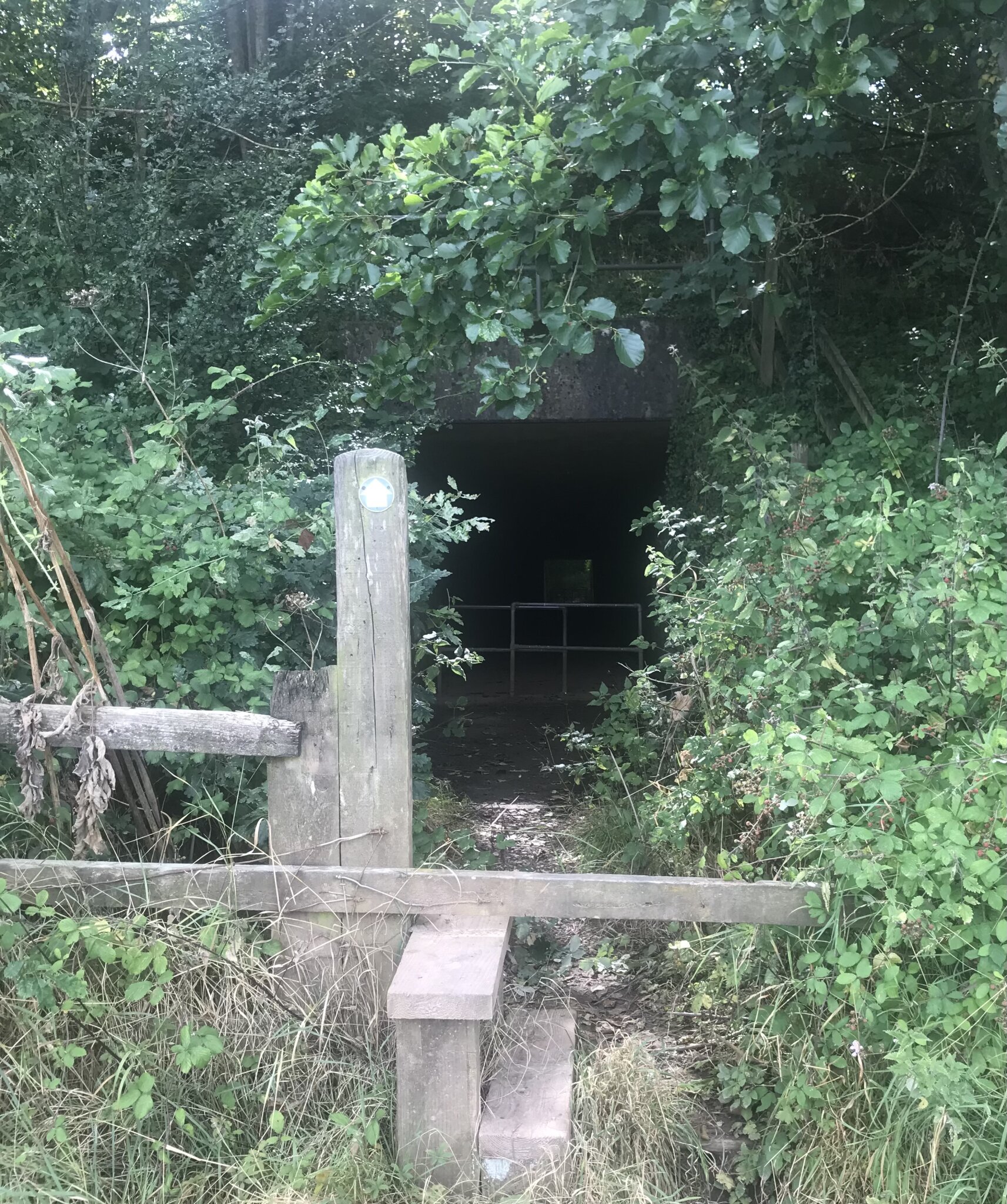 My neighbourhood . Devon , Somerset border England , early January
