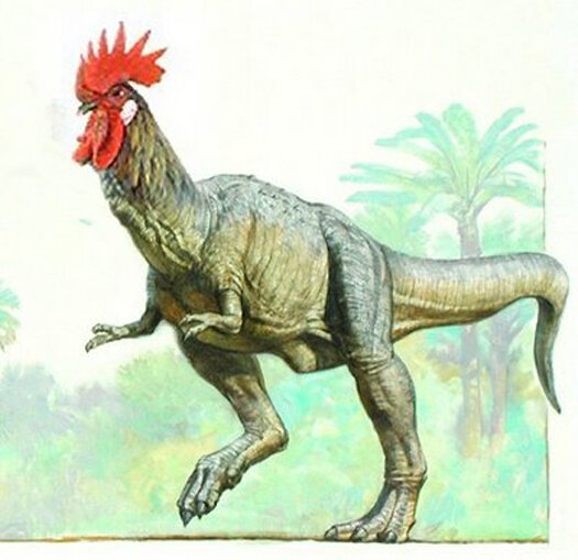 Since the TRex evolved into the chicken, raise some chickens and have