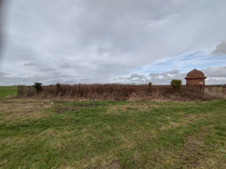 Nina's Blog Saturday 10th February 2024 Saturday 10th February 2024