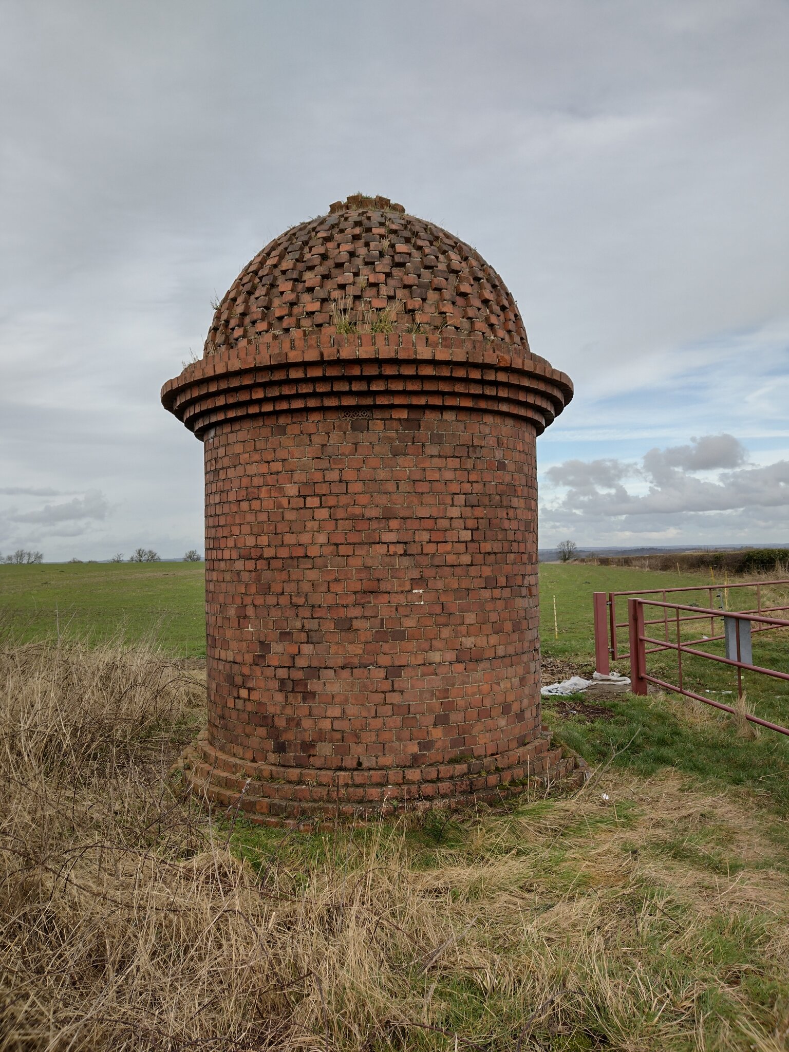 Nina's Blog Saturday 10th February 2024 Saturday 10th February 2024