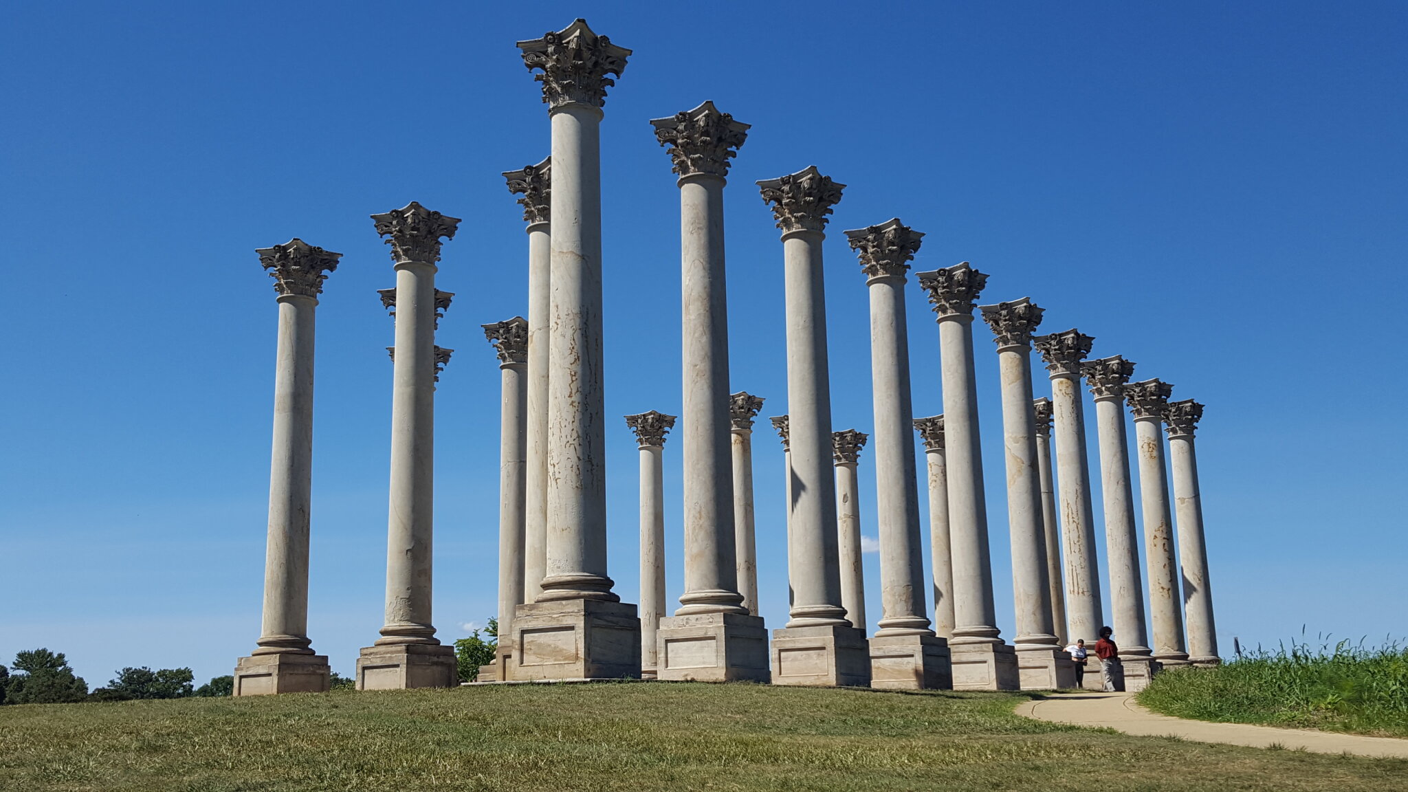 Sunny Sunday at the Park Golden Meadows Column Couches Little Tree Blue