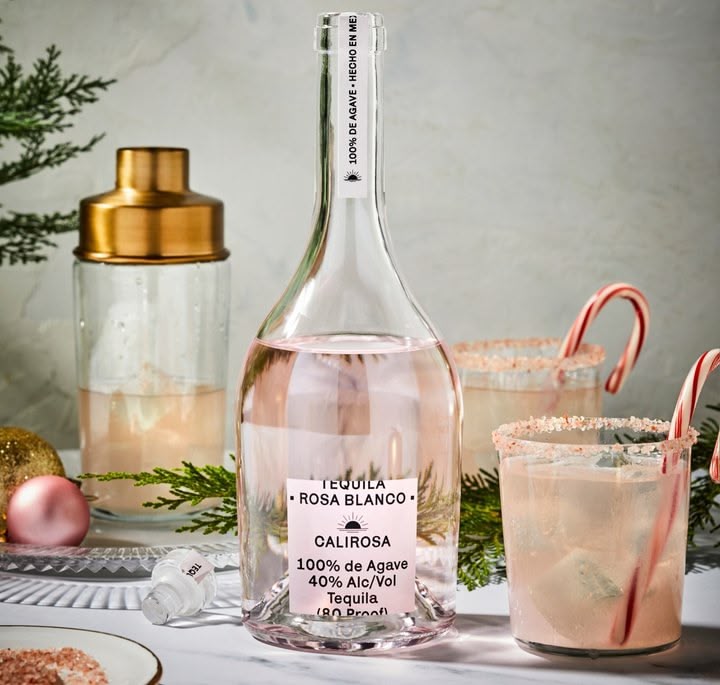 I bet you can’t get me drunk I have a high alcohol tolerance Sense of