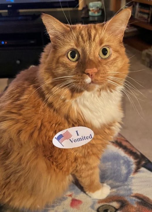 He Wasn't Even Registered 😼 Politics